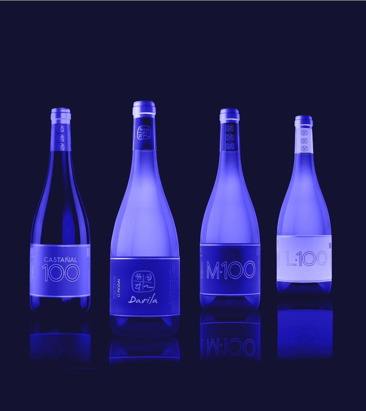 Hacemos Packaging