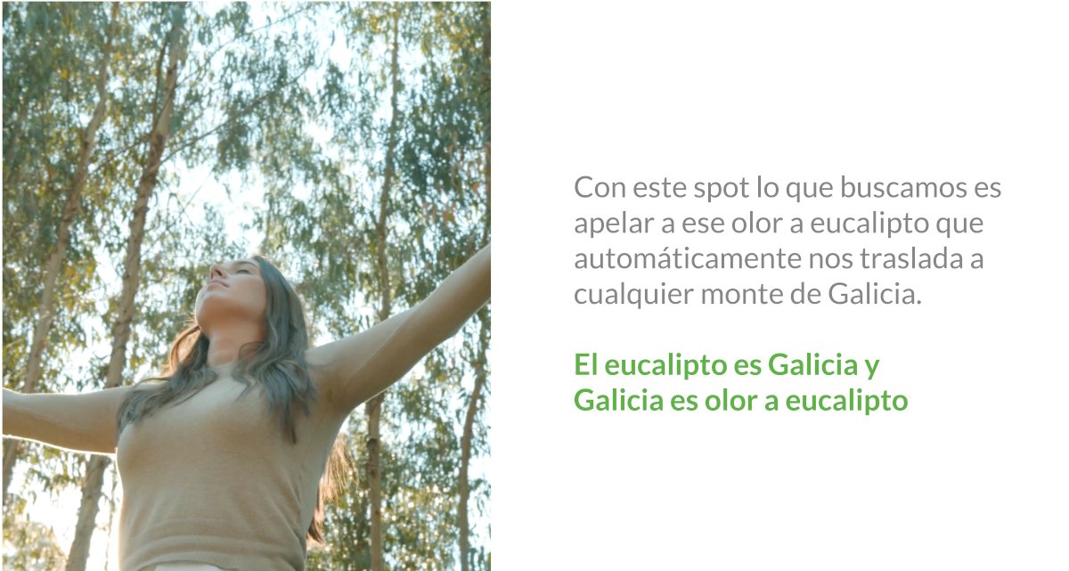 Olor a eucalipto